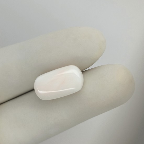 White Coral (Safed Moonga) 13.4 Ct Lab Tested White Coral (Safed Moonga) 13.4 Ct Lab Tested